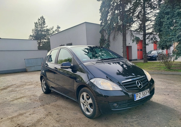 Mercedes-Benz Klasa A cena 12499 przebieg: 239790, rok produkcji 2009 z Szamotuły małe 79